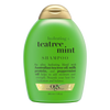 Teatree Mint Shampoo DexKea