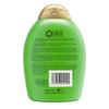 Teatree Mint Shampoo DexKea