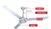 Electric Ceiling Fan My Store